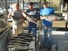(09/04/2014) - Nice Striped Bass